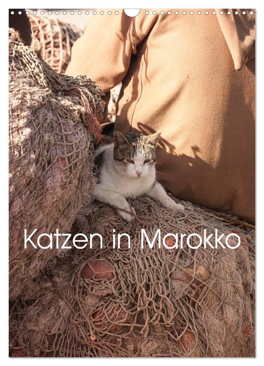 Katzen in Marokko (Wandkalender 2026 DIN A3 hoch), CALVENDO Monatskalender: Wunderschöne Aufnahmen von Katzen in Marokko (CALVENDO Tiere) Living & Furnishing