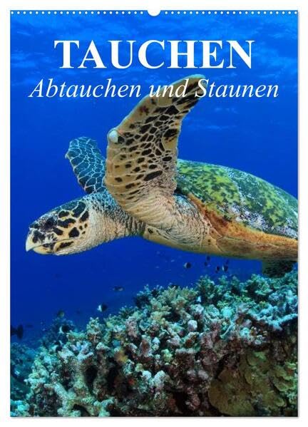 Tauchen - Abtauchen und Staunen (Wandkalender 2026 DIN A2 hoch), CALVENDO Monatskalender: Abtauchen in die faszinierende Unterwasserwelt unserer Meere (CALVENDO Natur) Living & Furnishing