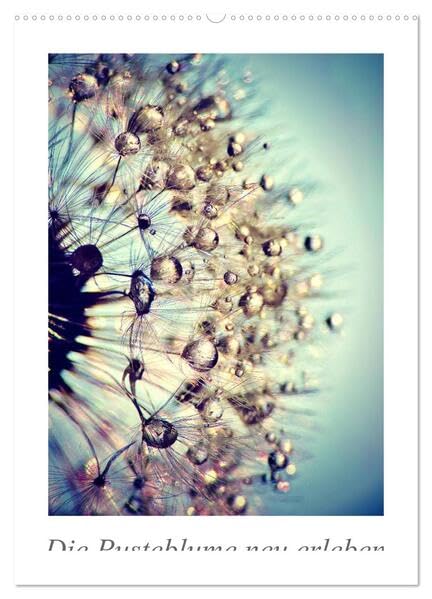 Die Pusteblume neu erleben (Wandkalender 2026 DIN A2 hoch), CALVENDO Monatskalender: Mit 12 spektakuläre Makroaufnahmen der Pusteblume ist dieser ... Blickfang an der Wand. (CALVENDO Natur) Film, Art & Culture