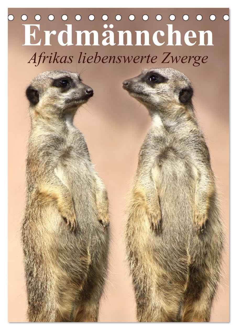 Erdmännchen - Afrikas liebenswerte Zwerge (Tischkalender 2026 DIN A5 hoch), CALVENDO Monatskalender: Die talentierten Bluffer und Buddler aus Südafrika (CALVENDO Tiere) Film, Art & Culture
