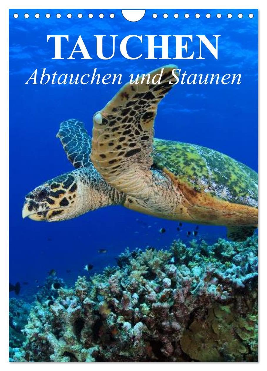 Tauchen - Abtauchen und Staunen (Wandkalender 2026 DIN A4 hoch), CALVENDO Monatskalender: Abtauchen in die faszinierende Unterwasserwelt unserer Meere (CALVENDO Natur) Living & Furnishing