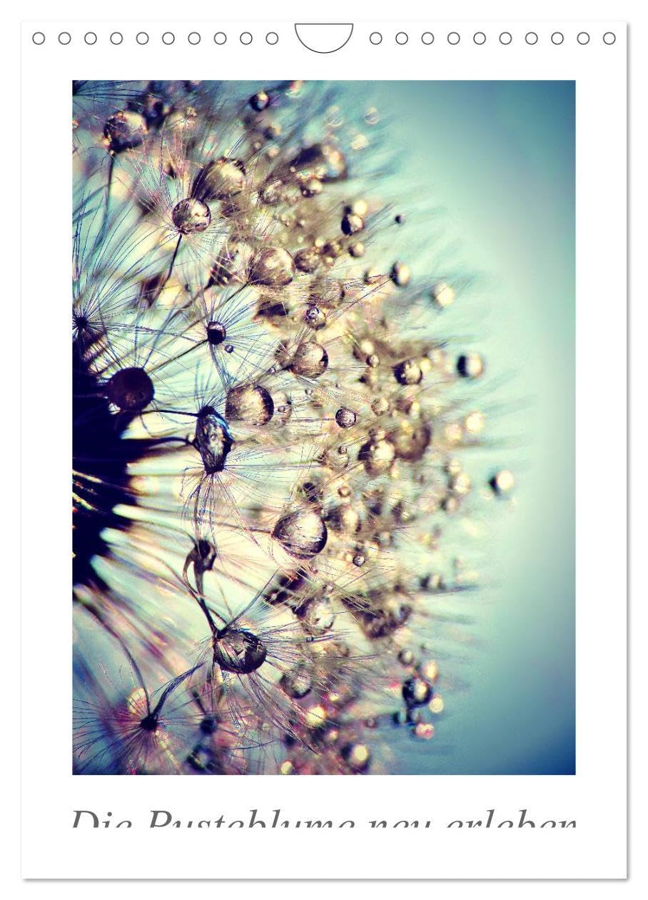 Die Pusteblume neu erleben (Wandkalender 2026 DIN A4 hoch), CALVENDO Monatskalender: Mit 12 spektakuläre Makroaufnahmen der Pusteblume ist dieser ... Blickfang an der Wand. (CALVENDO Natur) Film, Art & Culture