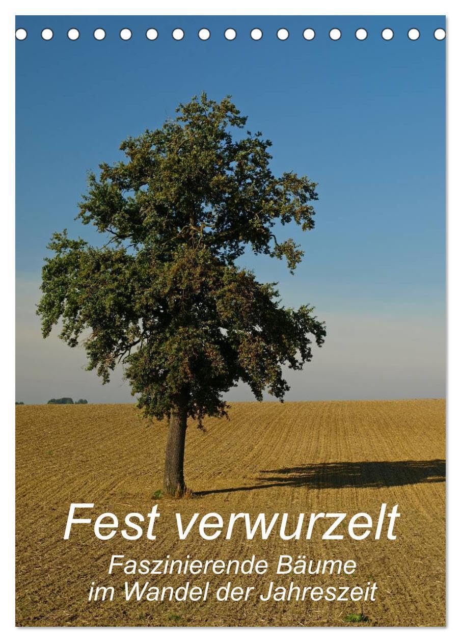 Fest verwurzelt - Faszinierende Bäume im Wandel der Jahreszeit (Tischkalender 2026 DIN A5 hoch), CALVENDO Monatskalender: Kahl oder mit üppigem ... ein eindrucksvoller Anblick (CALVENDO Natur) Photography