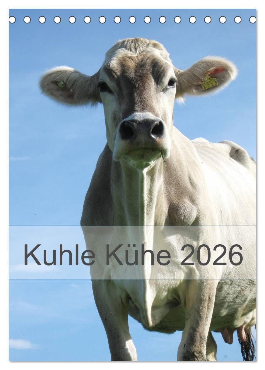 Kuhle Kühe 2026 (Tischkalender 2026 DIN A5 hoch), CALVENDO Monatskalender: Monat für Monat begleiten uns Kühe durch das Jahr (CALVENDO Tiere) Natural Sciences