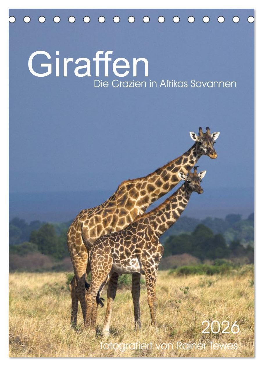 Giraffen - Die Grazien in Afrikas Savannen (Tischkalender 2026 DIN A5 hoch), CALVENDO Monatskalender: Mit majestätischem Schritt bewegen sich Giraffen ... von Rainer Tewes (CALVENDO Tiere) Leisure, Home & Garden