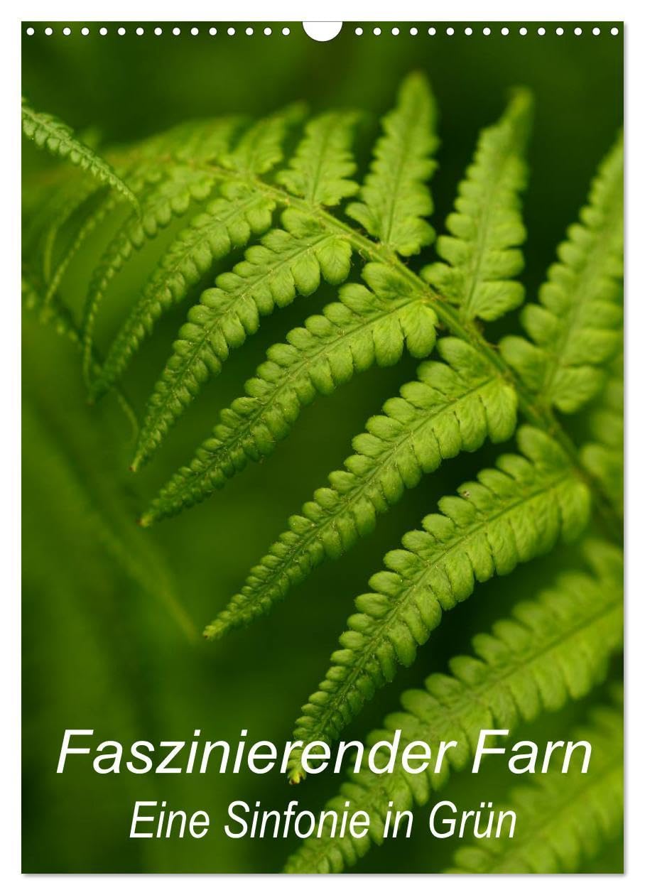 Faszinierender Farn - Eine Sinfonie in Grün (Wandkalender 2026 DIN A3 hoch), CALVENDO Monatskalender: Details von Farnpflanzen kunstvoll in Szene gesetzt (CALVENDO Natur) Photography