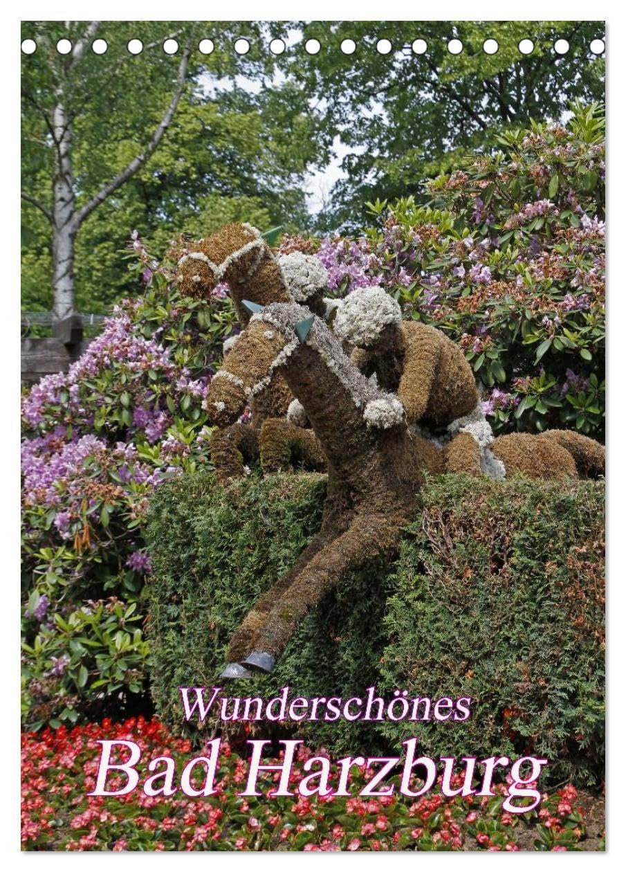 Wunderschönes Bad Harzburg (Tischkalender 2026 DIN A5 hoch), CALVENDO Monatskalender: Bad Harzburg: Die "Luchsstadt" an der Radau (CALVENDO Orte) Leisure, Home & Garden