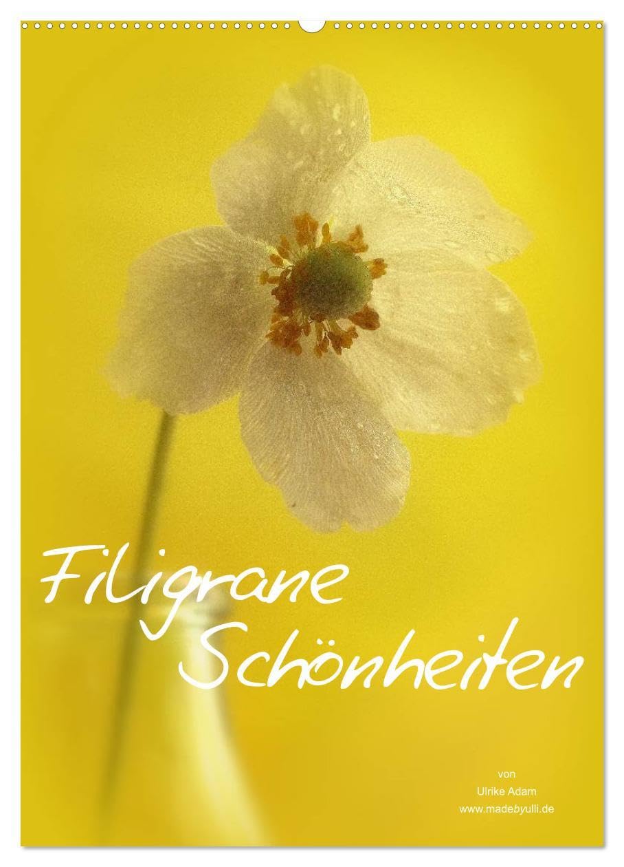 Filigrane Schönheiten 2026 (Wandkalender 2026 DIN A2 hoch), CALVENDO Monatskalender: Filigrane Schönheiten unserer Natur (CALVENDO Natur) Social Sciences