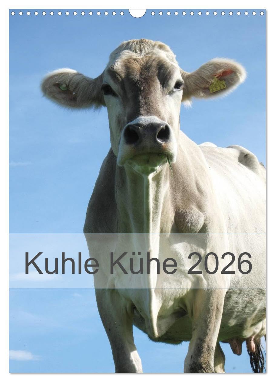 Kuhle Kühe 2026 (Wandkalender 2026 DIN A3 hoch), CALVENDO Monatskalender: Monat für Monat begleiten uns Kühe durch das Jahr (CALVENDO Tiere) Natural Sciences