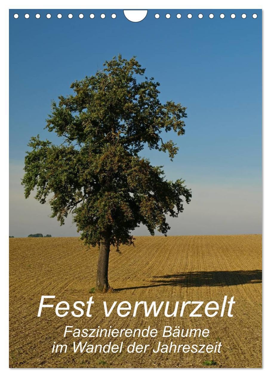 Fest verwurzelt - Faszinierende Bäume im Wandel der Jahreszeit (Wandkalender 2026 DIN A4 hoch), CALVENDO Monatskalender: Kahl oder mit üppigem ... ein eindrucksvoller Anblick (CALVENDO Natur) Photography