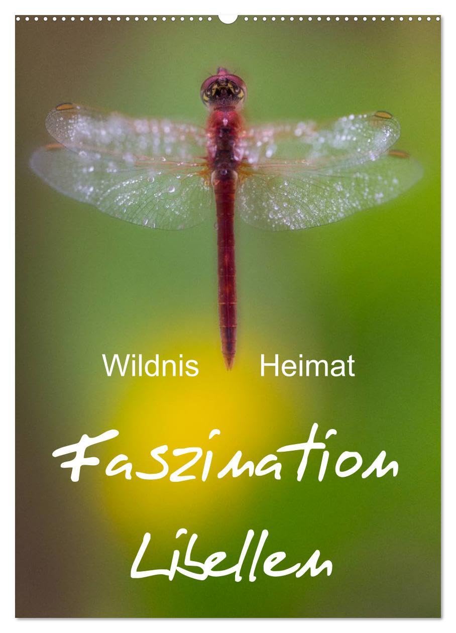 Faszination Libellen - Wildnis Heimat (Wandkalender 2026 DIN A2 hoch), CALVENDO Monatskalender: Makrofotografie der Extraklasse (CALVENDO Tiere) Social Sciences