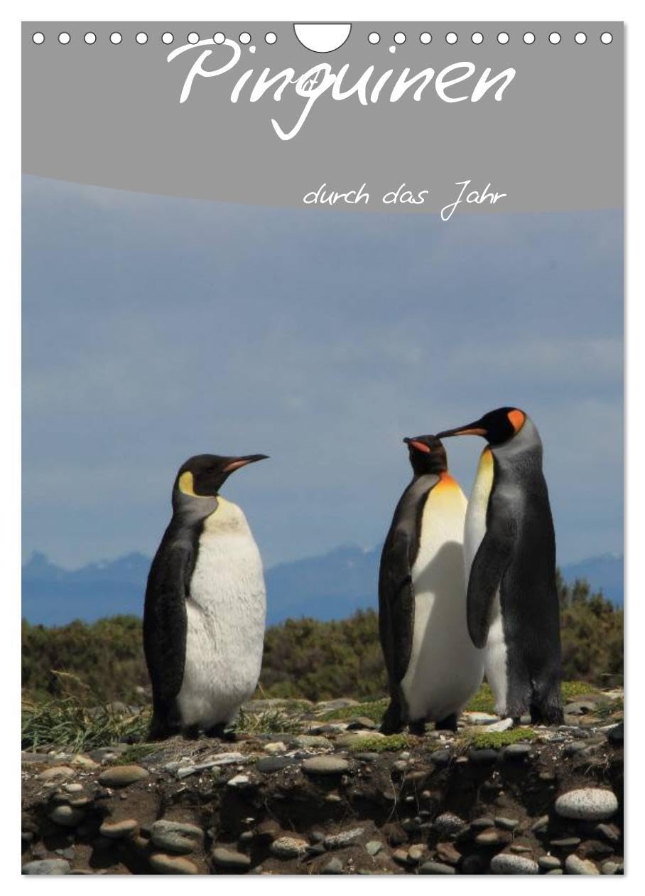 Mit Pinguinen durch das Jahr (Wandkalender 2026 DIN A4 hoch), CALVENDO Monatskalender: Dieser Pinguin Kalender begleitet Sie durch das Jahr und bietet genügend Platz für Terminnotizen (CALVENDO Tiere) Social Sciences