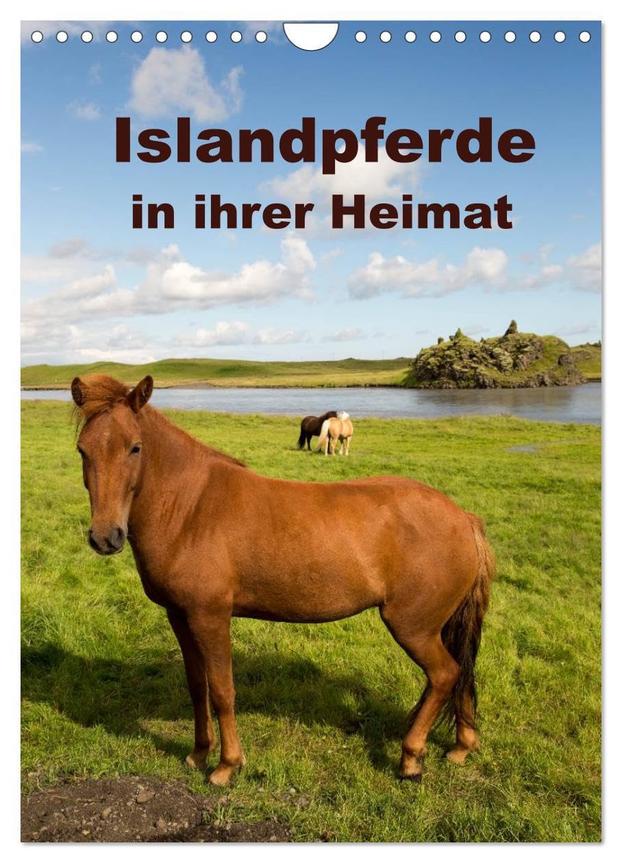 Islandpferde in ihrer Heimat (Wandkalender 2026 DIN A4 hoch), CALVENDO Monatskalender: Islandpferde sind eine robuste Pferderasse mit einem besonders dichtem Winterfell. (CALVENDO Tiere) Natural Sciences