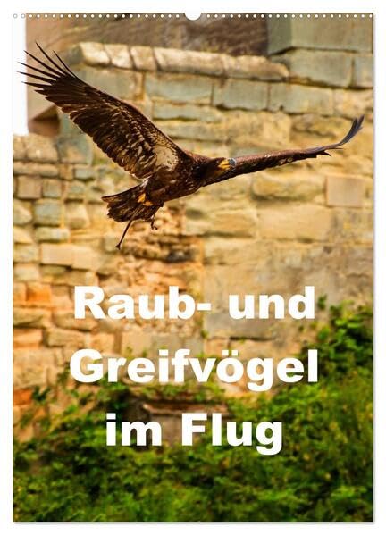 Raub- und Greifvögel im Flug (Wandkalender 2026 DIN A2 hoch), CALVENDO Monatskalender: Faszinierende Raub- und Greifvögel in der Luft beobachtet (CALVENDO Tiere) Living & Furnishing