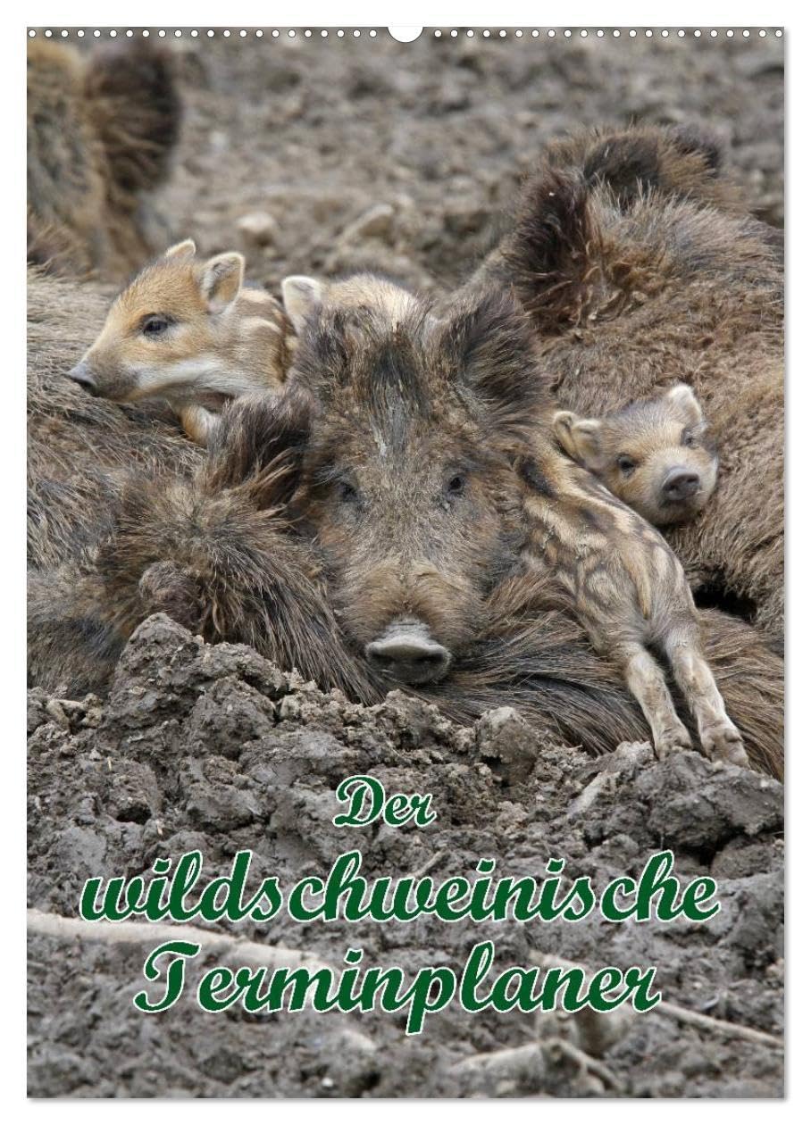 Der wildschweinische Terminplaner (Wandkalender 2026 DIN A2 hoch), CALVENDO Monatskalender: Schwarzkittel in heimischen Wäldern (CALVENDO Tiere) Natural Sciences