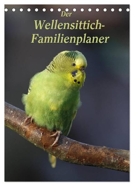 Der Wellensittich-Familienplaner (Tischkalender 2026 DIN A5 hoch), CALVENDO Monatskalender: Putzige Piepmätze (CALVENDO Tiere) Natural Sciences