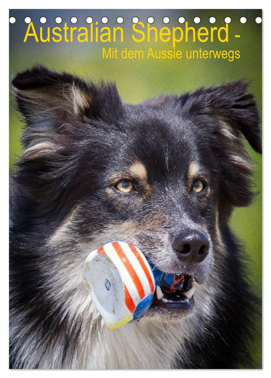 Australian Shepherd – Mit dem Aussie unterwegs (Tischkalender 2026 DIN A5 hoch), CALVENDO Monatskalender: Erleben Sie die vier Jahreszeiten mit dem Australian Shepherd (CALVENDO Tiere) Garden & Plants