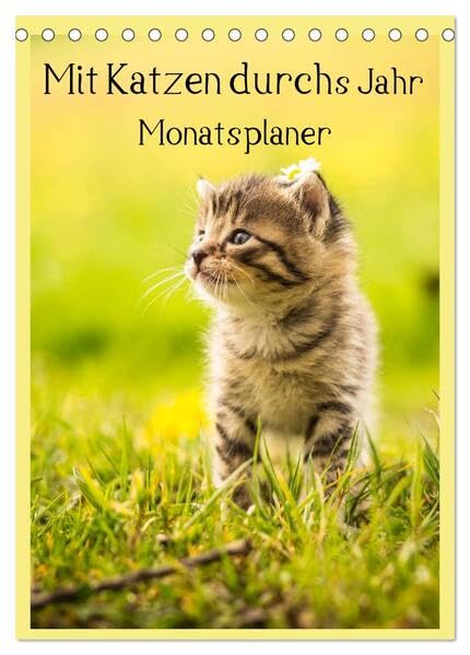 Mit Katzen durchs Jahr / Planer (Tischkalender 2026 DIN A5 hoch), CALVENDO Monatskalender: Ein Terminplaner mit tollen Katzenmotiven (CALVENDO Tiere) Living & Furnishing