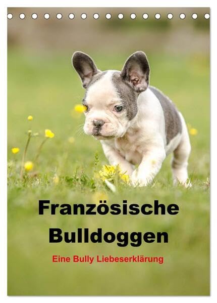 Französische Bulldoggen - Eine Bully Liebeserkärung (Tischkalender 2026 DIN A5 hoch), CALVENDO Monatskalender: Wundervolle Aufnahmen der beliebten ... in traumhaften Bildern (CALVENDO Tiere) Living & Furnishing