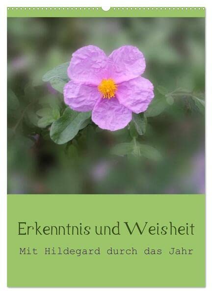 Erkenntnis und Weisheit - Hildegard von Bingen (Wandkalender 2026 DIN A2 hoch), CALVENDO Monatskalender: Mit den Erkenntnissen und der Weisheit Hildegard von Bingens durch das Jahr. (CALVENDO Glaube) Leisure, Home & Garden