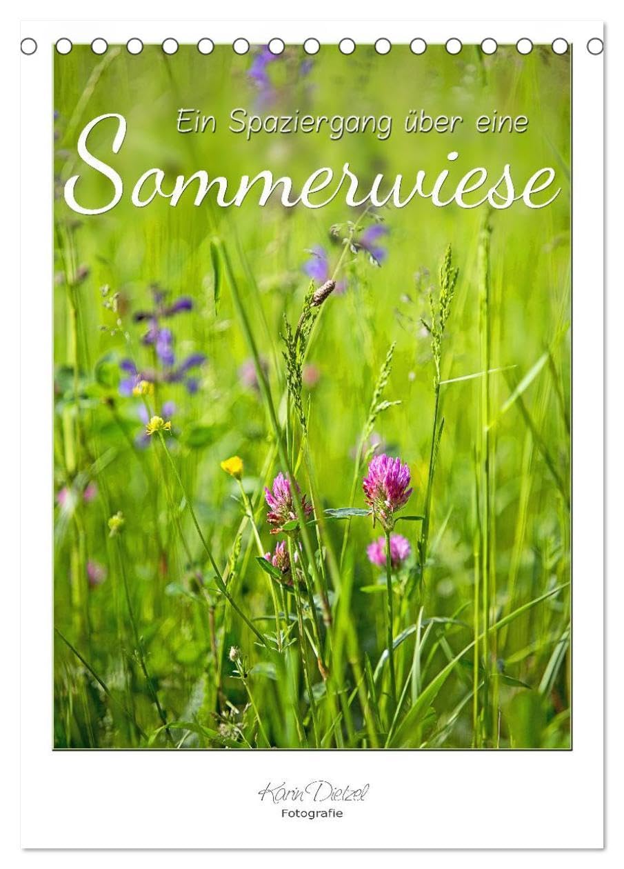 Ein Spaziergang über eine Sommerwiese (Tischkalender 2026 DIN A5 hoch), CALVENDO Monatskalender: Sommerwiesen sind Farbe, Licht, Leben (CALVENDO Natur) Film, Art & Culture