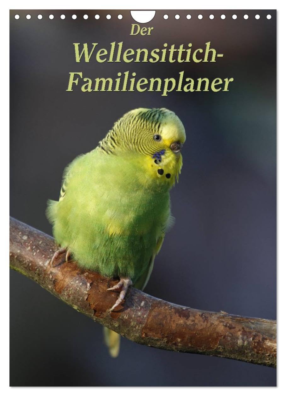 Der Wellensittich-Familienplaner (Wandkalender 2026 DIN A4 hoch), CALVENDO Monatskalender: Putzige Piepmätze (CALVENDO Tiere) Natural Sciences