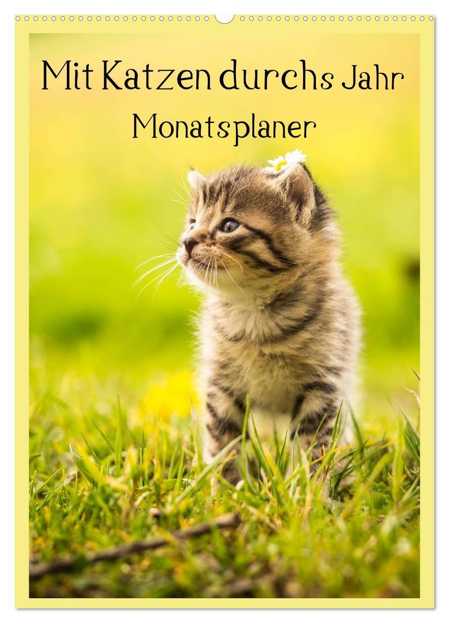 Mit Katzen durchs Jahr / Planer (Wandkalender 2026 DIN A2 hoch), CALVENDO Monatskalender: Ein Terminplaner mit tollen Katzenmotiven (CALVENDO Tiere) Living & Furnishing