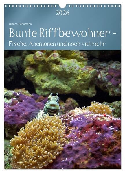 Bunte Riffbewohner - Fische, Anemonen und noch viel mehr (Wandkalender 2026 DIN A3 hoch), CALVENDO Monatskalender: Tropische Riffe bieten eine große Vielfalt an Lebewesen und Farben (CALVENDO Tiere) Living & Furnishing