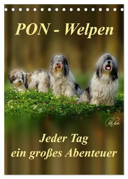 PON-Welpen - jeder Tag ein großes Abenteuer / Planer (Tischkalender 2026 DIN A5 hoch), CALVENDO Monatskalender: PON-Welpen - einzigartige, sehr ... mit unstillbarem Spieltrieb (CALVENDO Tiere) Living & Furnishing