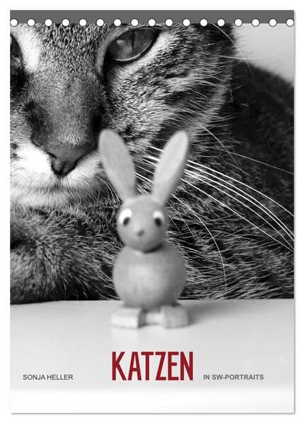 Sonja Heller Katzen in SW-Portraits (Tischkalender 2026 DIN A5 hoch), CALVENDO Monatskalender: Katzen - festgehalten in SW-Fotografien (CALVENDO Tiere) Natural Sciences