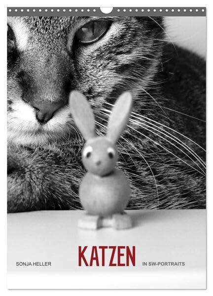 Sonja Heller Katzen in SW-Portraits (Wandkalender 2026 DIN A3 hoch), CALVENDO Monatskalender: Katzen - festgehalten in SW-Fotografien (CALVENDO Tiere) Natural Sciences