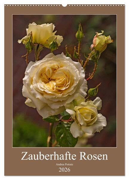 Zauberhafte Rosen (Wandkalender 2026 DIN A2 hoch), CALVENDO Monatskalender: Mit Rosen durchs Jahr. (CALVENDO Natur) Leisure, Home & Garden