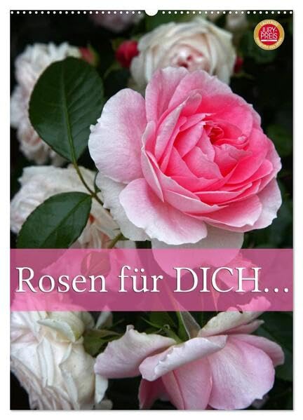 Rosen für DICH / Geburtstagskalender (Wandkalender 2026 DIN A2 hoch), CALVENDO Monatskalender: 12 wunderbare Rosen die Dich durch das ganze Jahr begleiten (CALVENDO Natur) Social Sciences