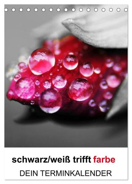 schwarz/weiß trifft farbe - DEIN TERMINKALENDER / Planer (Tischkalender 2026 DIN A5 hoch), CALVENDO Monatskalender: Ein ausgewählter Bereich von Farbe ... Fotos den besonderen Look (CALVENDO Natur) Social Sciences