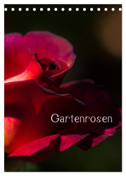 Gartenrosen (Tischkalender 2026 DIN A5 hoch), CALVENDO Monatskalender: Rosenblüten in Licht und Schatten (CALVENDO Natur) Social Sciences