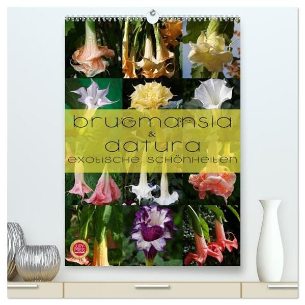 Brugmansia & Datura - Exotische Schönheiten (hochwertiger Premium Wandkalender 2026 DIN A2 hoch), Kunstdruck in Hochglanz: Brugmansia & Datura - ... Schönheiten im Protrait (CALVENDO Natur) Leisure, Home & Garden
