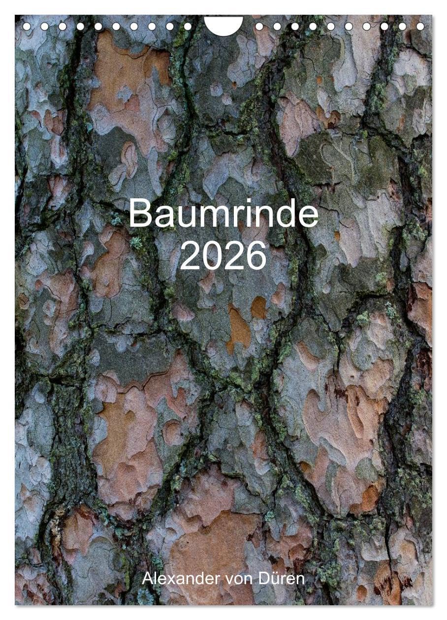 Baumrinde 2026 (Wandkalender 2026 DIN A4 hoch), CALVENDO Monatskalender: Baumrinden oder Borke weisen eine Vielzahl unterschiedlichster Farben und ... und werden nie langweilig. (CALVENDO Natur) Business & Technology