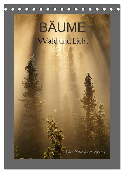 BÄUME (Tischkalender 2026 DIN A5 hoch), CALVENDO Monatskalender: Wald und Licht (CALVENDO Natur) Photography