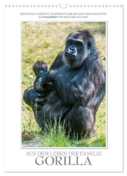 Emotionale Momente: Aus dem Leben der Familie Gorilla. (Wandkalender 2026 DIN A3 hoch), CALVENDO Monatskalender: Zauberhafte Bilder von unserem ... von Ingo Gerlach GDT. (CALVENDO Tiere) Natural Sciences