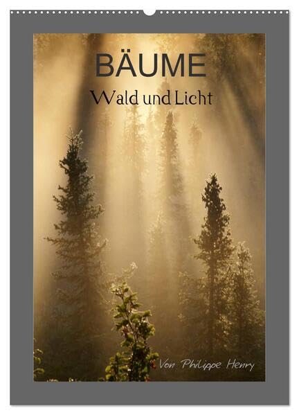 BÄUME (Wandkalender 2026 DIN A2 hoch), CALVENDO Monatskalender: Wald und Licht (CALVENDO Natur) Photography