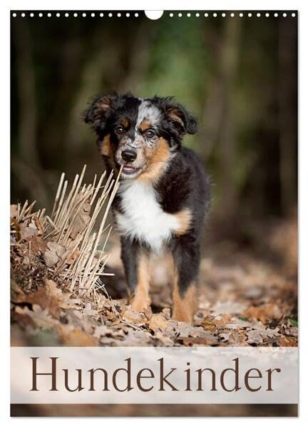 Hundekinder (Wandkalender 2026 DIN A3 hoch), CALVENDO Monatskalender: Hundekinder (CALVENDO Tiere) Natural Sciences