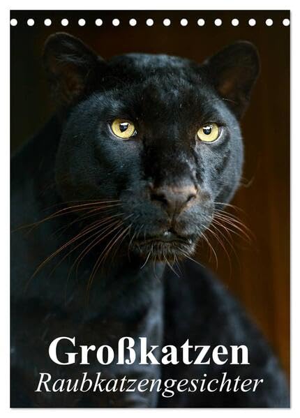 Großkatzen. Raubkatzengesichter (Tischkalender 2026 DIN A5 hoch), CALVENDO Monatskalender: Die unbeschreiblich schönen Gesichter von Großkatzen sind immer wieder ein Freude. (CALVENDO Tiere) Living & Furnishing
