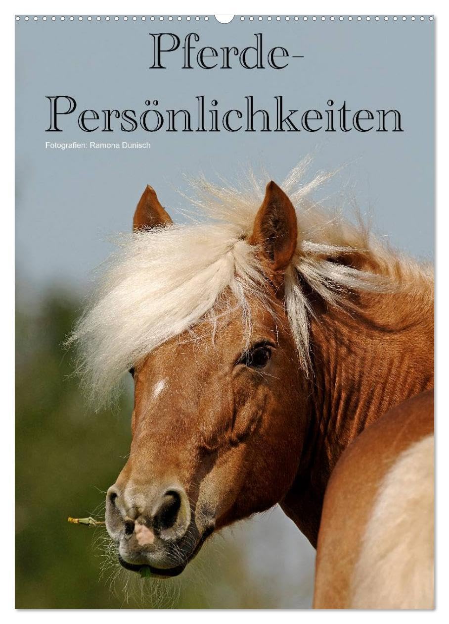 Pferde-Persönlichkeiten - ausdrucksstarke Gesichter verschiedener Pferderassen (Wandkalender 2026 DIN A2 hoch), CALVENDO Monatskalender: Besondere ... in unterschiedlichen Farben (CALVENDO Tiere) Natural Sciences