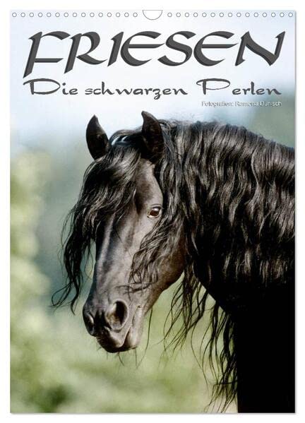 Friesen - die schwarzen Perlen (Wandkalender 2026 DIN A3 hoch), CALVENDO Monatskalender: Friesen - besonders schöne, herrlich lackschwarze Pferde (CALVENDO Tiere) Natural Sciences