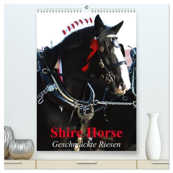 Shire Horse - Geschmückte Riesen (hochwertiger Premium Wandkalender 2026 DIN A2 hoch), Kunstdruck in Hochglanz: Traditionell geschmückte Shire Horse (CALVENDO Tiere) Living & Furnishing