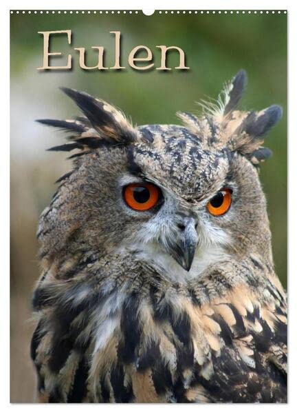 Eulen (Wandkalender 2026 DIN A2 hoch), CALVENDO Monatskalender: Lautlose Jäger der Nacht (CALVENDO Tiere) Natural Sciences