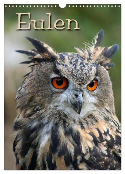 Eulen (Wandkalender 2026 DIN A3 hoch), CALVENDO Monatskalender: Lautlose Jäger der Nacht (CALVENDO Tiere) Natural Sciences