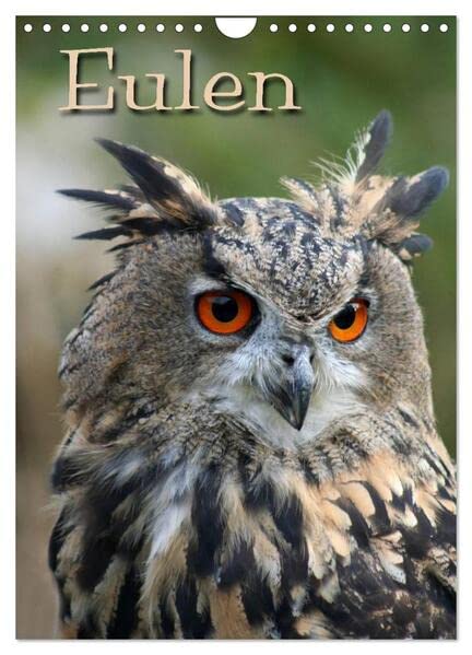 Eulen (Wandkalender 2026 DIN A4 hoch), CALVENDO Monatskalender: Lautlose Jäger der Nacht (CALVENDO Tiere) Natural Sciences