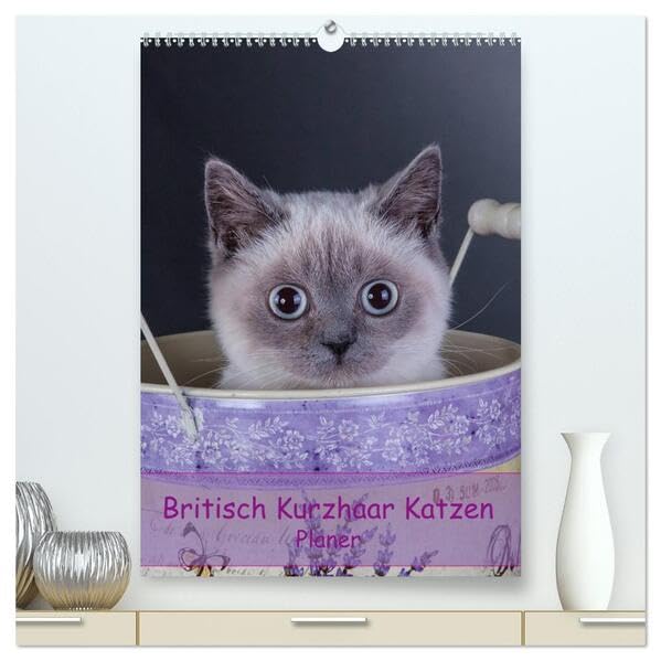 Britisch Kurzhaar Katzen - Planer (hochwertiger Premium Wandkalender 2026 DIN A2 hoch), Kunstdruck in Hochglanz: Britisch Kurzhaar Katzen Herzensbrecher auf 4 Pfoten Terminplaner (CALVENDO Tiere) Natural Sciences