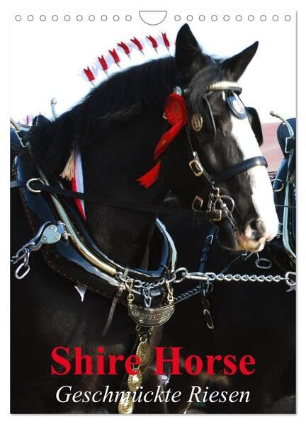 Shire Horse - Geschmückte Riesen (Wandkalender 2026 DIN A4 hoch), CALVENDO Monatskalender: Traditionell geschmückte Shire Horse (CALVENDO Tiere) Living & Furnishing
